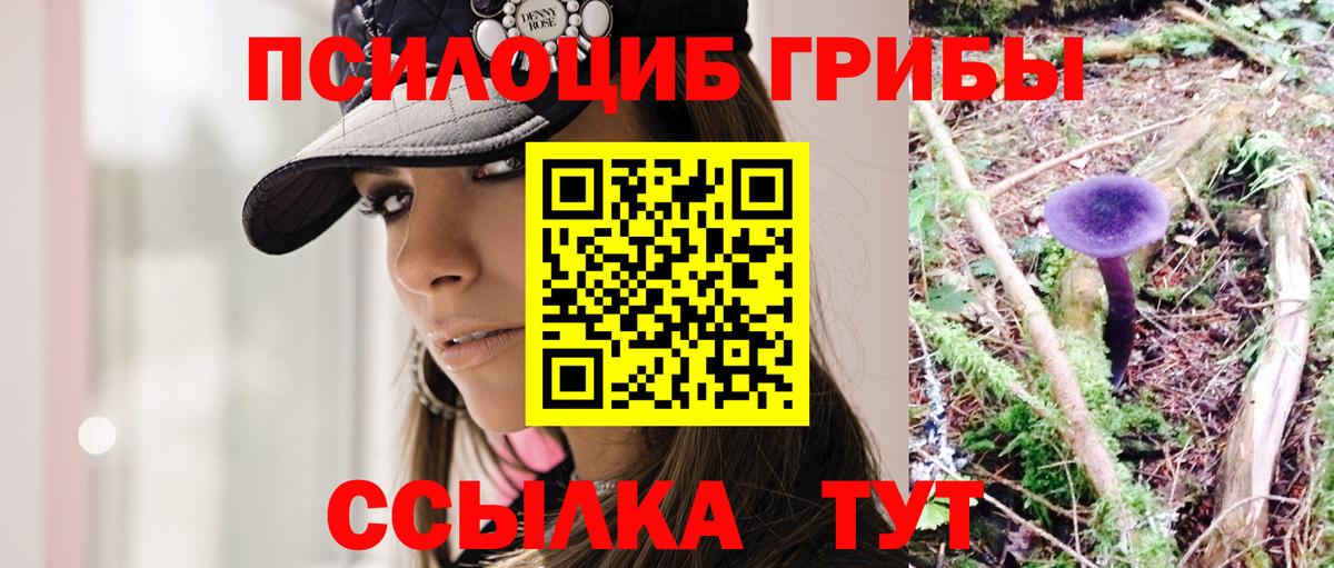 Ефремов  Псилоцибиновые грибы ЛСД  Вход с VPN 
